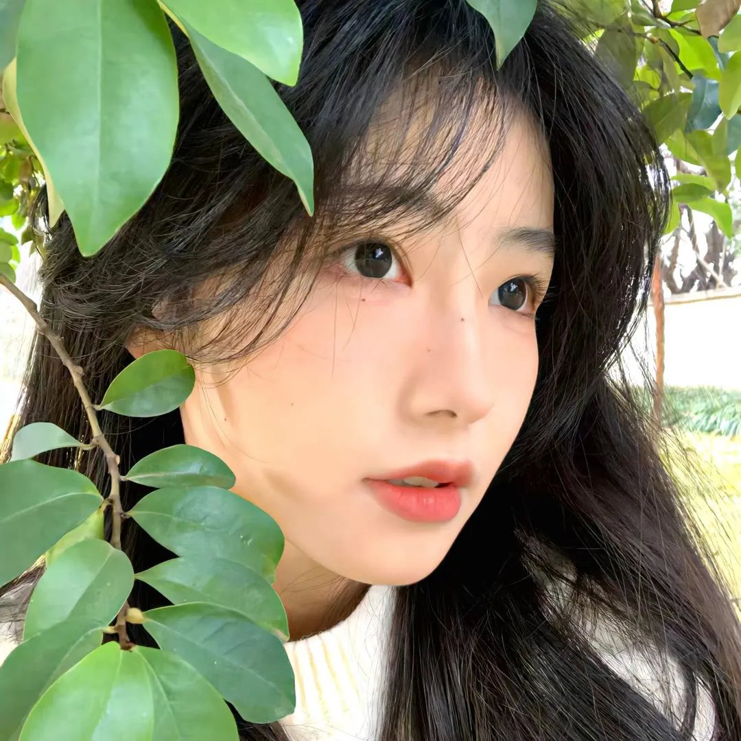 美国的儿子
